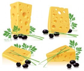 Tasty cheese food vector set 02