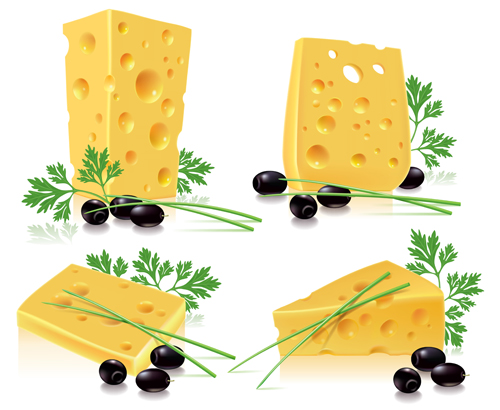 Tasty cheese food vector set 02