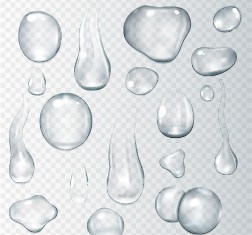 Transparent water drops illustration vector material 05