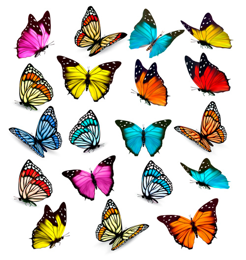 Various beautiful butterflies vector material