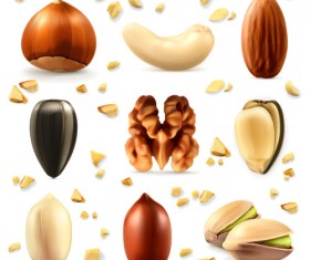 Various nuts realistic vector set