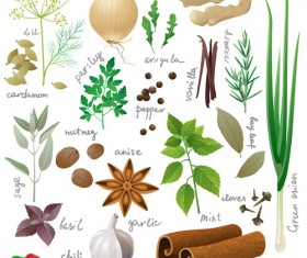 Various spices design vectors set 01