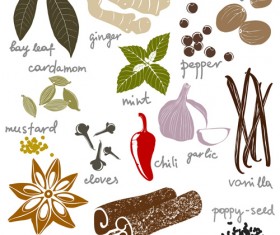Various spices design vectors set 02