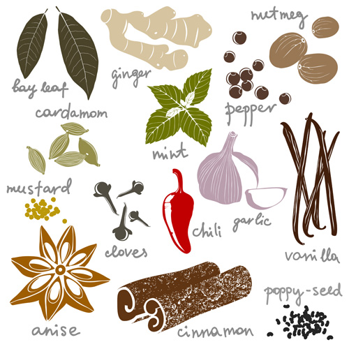 Various spices design vectors set 02