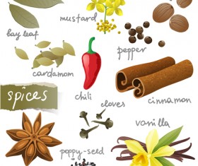 Various spices design vectors set 03