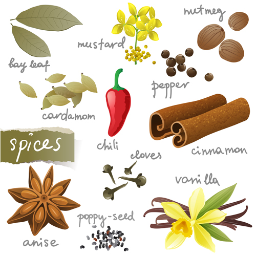 Various spices design vectors set 03