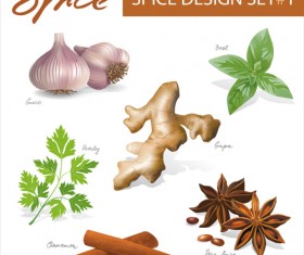 Various spices design vectors set 04