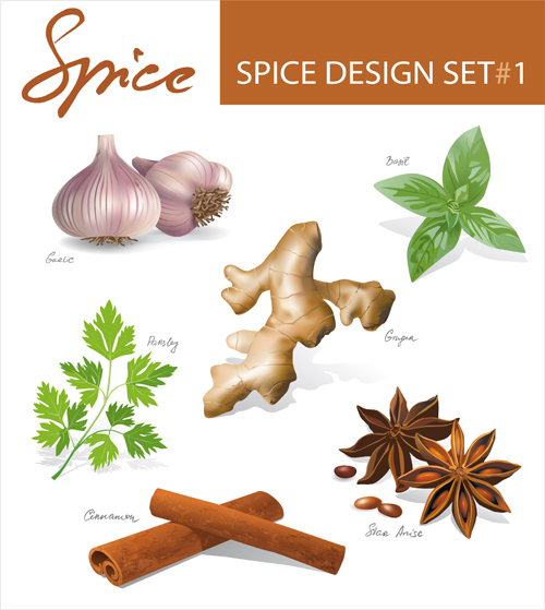 Various spices design vectors set 04
