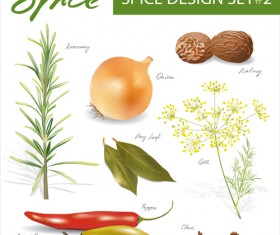 Various spices design vectors set 05