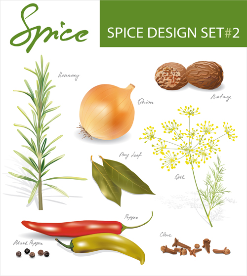 Various spices design vectors set 05