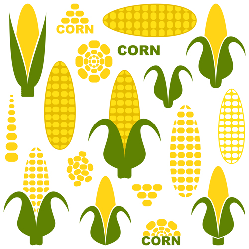 Vector corn design elements