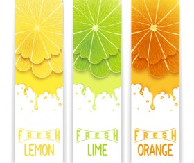 Banner fresh fruit drink vector 01