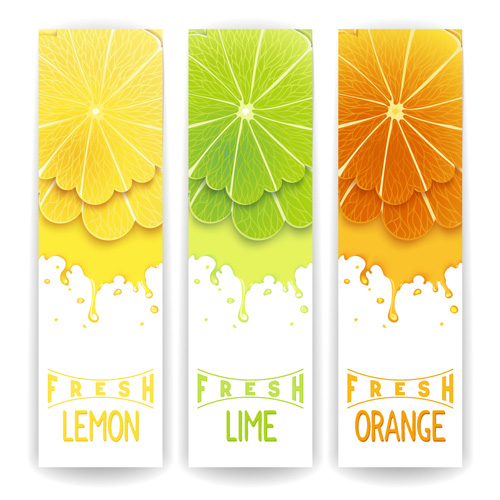 Banner fresh fruit drink vector 01
