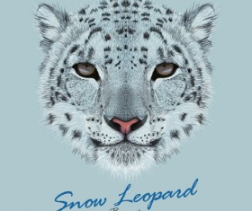 Beautiful snow leopard vector background