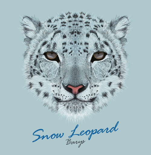 Beautiful snow leopard vector background