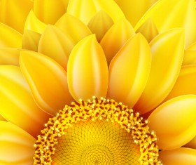 Beautiful sunflowers golden background set vector 04