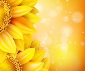 Beautiful sunflowers golden background set vector 05