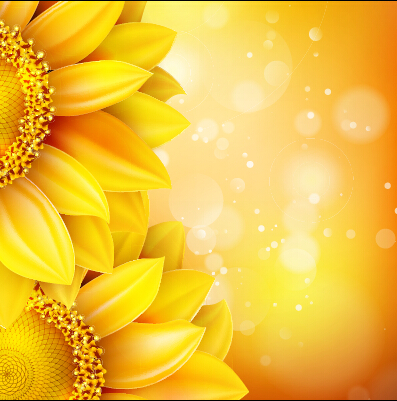 Beautiful sunflowers golden background set vector 05