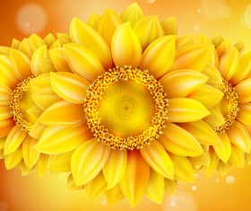 Beautiful sunflowers golden background set vector 06