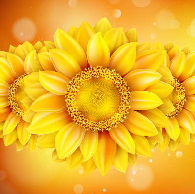 Beautiful sunflowers golden background set vector 06