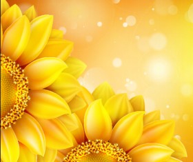 Beautiful sunflowers golden background set vector 07
