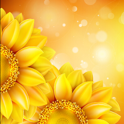 Beautiful sunflowers golden background set vector 07