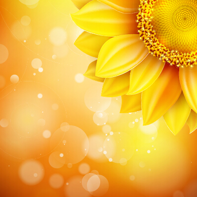 Beautiful sunflowers golden background set vector 09
