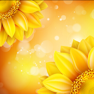 Beautiful sunflowers golden background set vector 10