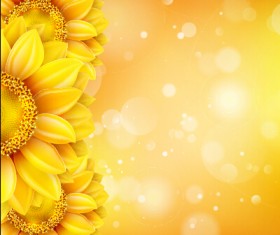 Beautiful sunflowers golden background set vector 11