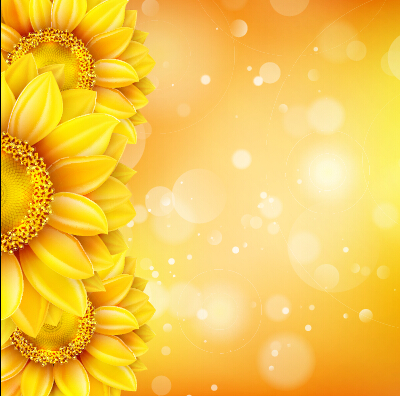 Beautiful sunflowers golden background set vector 11