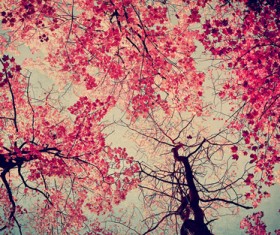 Creative double exposure Photoshop Actions