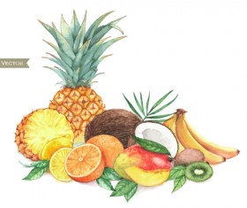 Different fruits watercolor vectors design 01