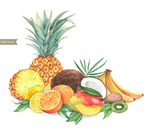 Different fruits watercolor vectors design 01