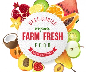 Farm organic fruit background vector 01