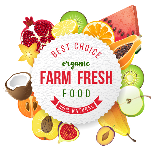 Farm organic fruit background vector 01