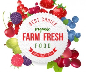 Farm organic fruit background vector 02