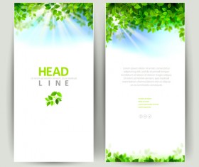 Green leaves with sunlight banners vector material 01