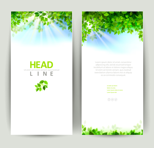 Green leaves with sunlight banners vector material 01
