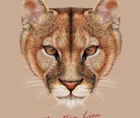 Mountain lion head background vector
