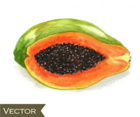 Papaya watercolor hand drawn vector