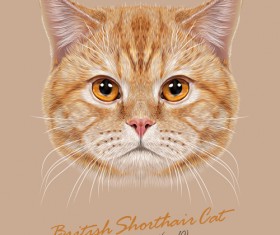 Realistic cat art background vector