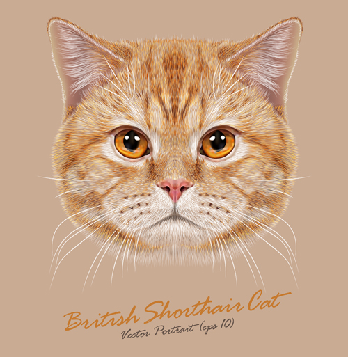 Realistic cat art background vector free download