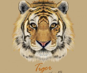 Realistic tiger art background vector