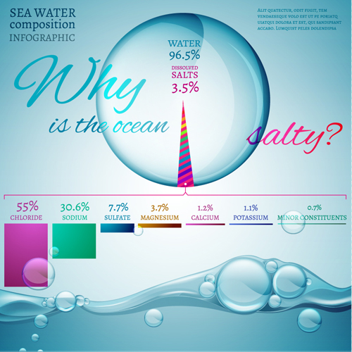 Sea water composition infographic vector 03