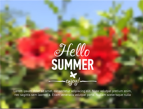 Summer flower with blurred background vector 06