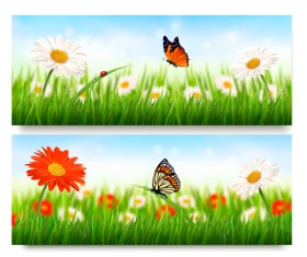 Summer grass with flower vector banners 01