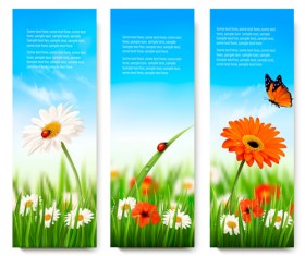 Summer grass with flower vector banners 02