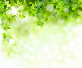 Sunlight with green leaves shiny background vector 01