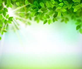 Sunlight with green leaves shiny background vector 02