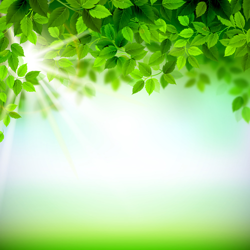 Sunlight with green leaves shiny background vector 02 free download